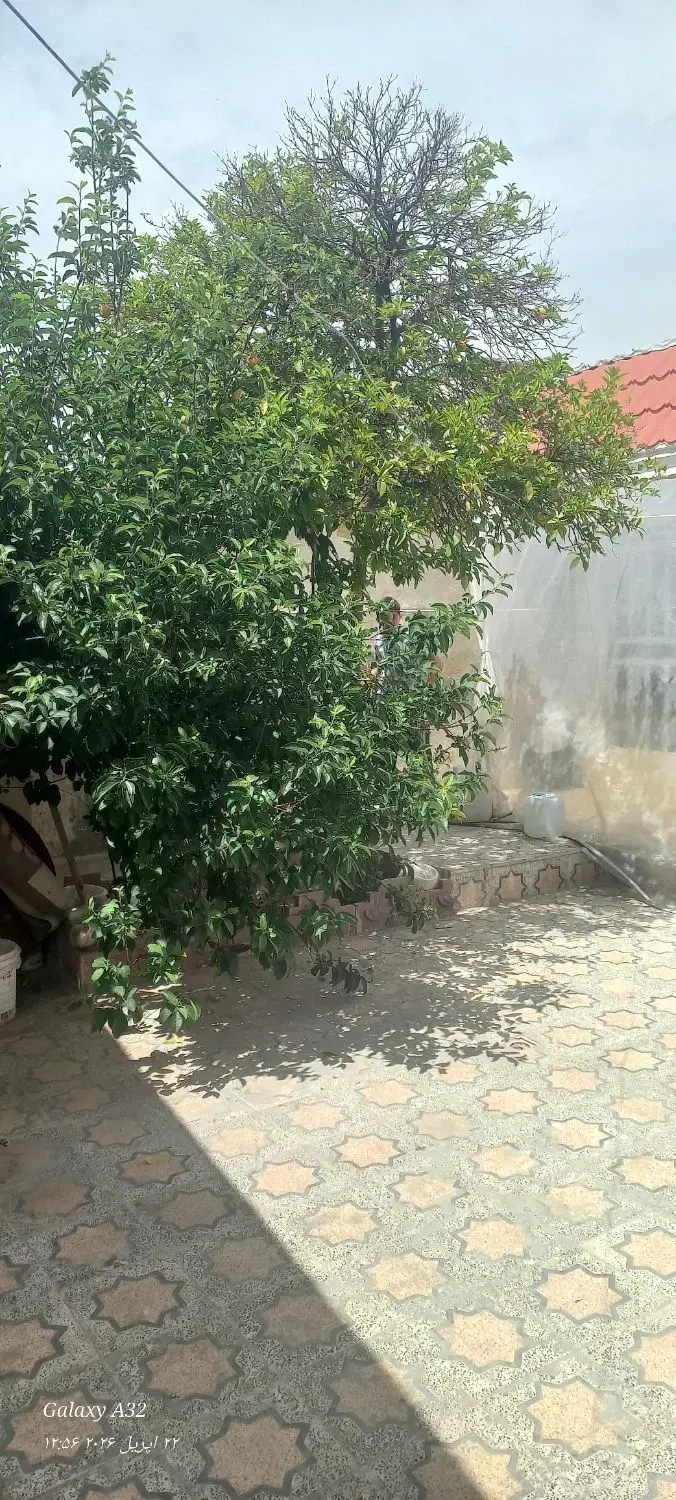 تصویر 8