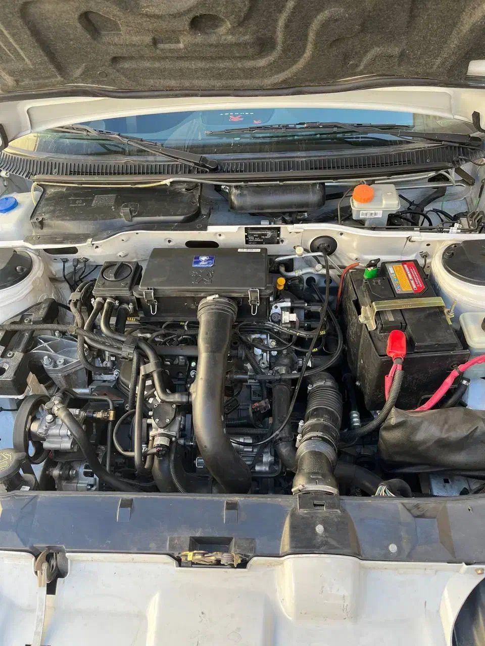 فروش پژو پارس سال مدل 1401|خودرو سواری و وانت|گلپایگان, |دیوار