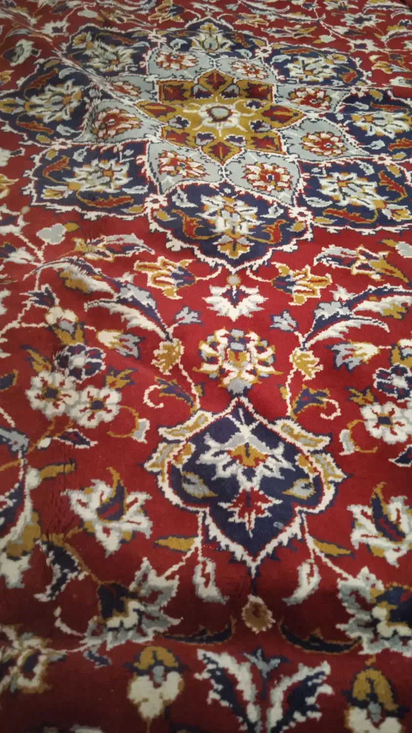 فرش ۶ متری تمیز و سالم|فرش|بهار, |دیوار