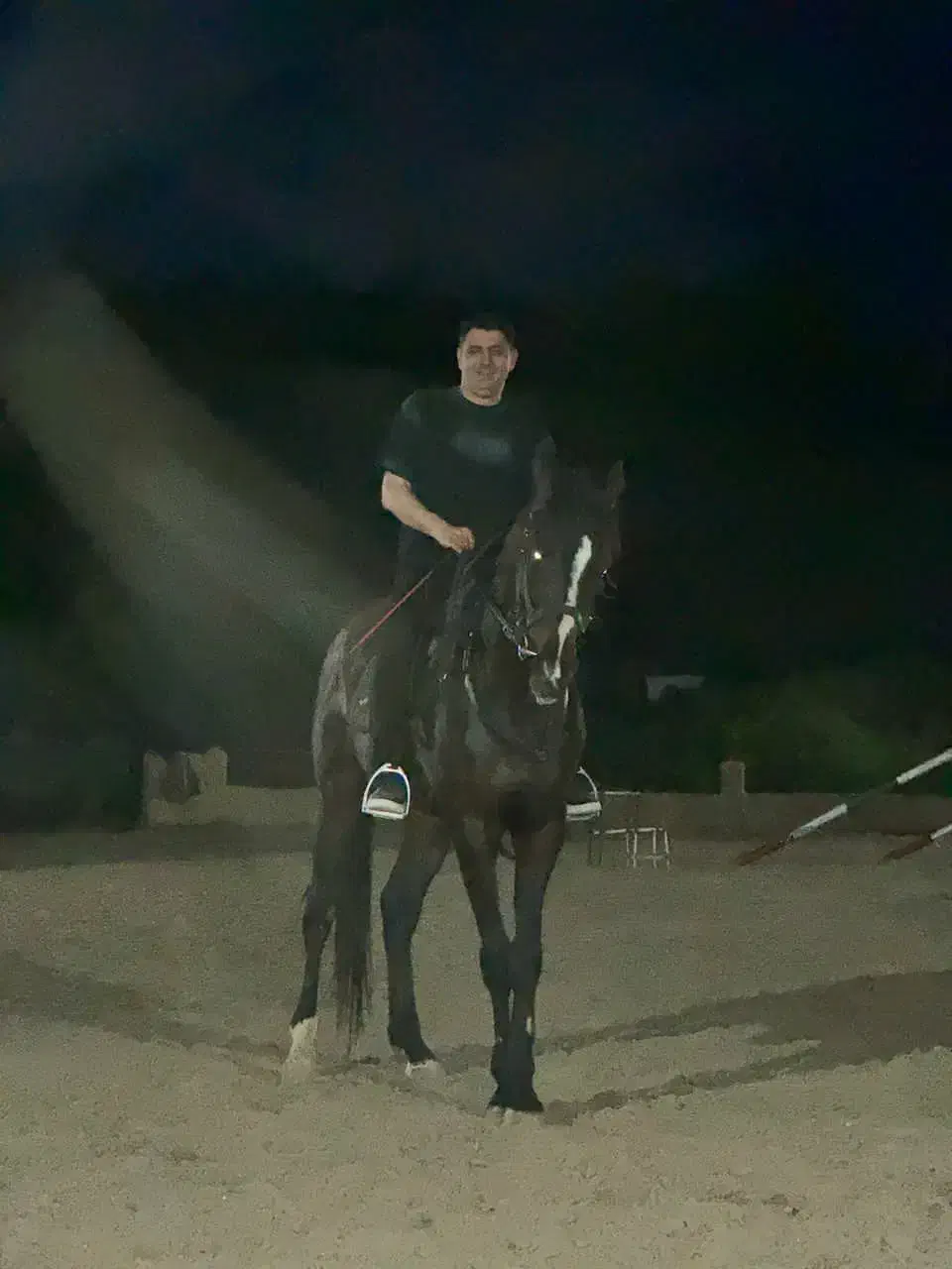 حیوان|اسب و تجهیزات اسبسواری|سرخرود, |دیوار