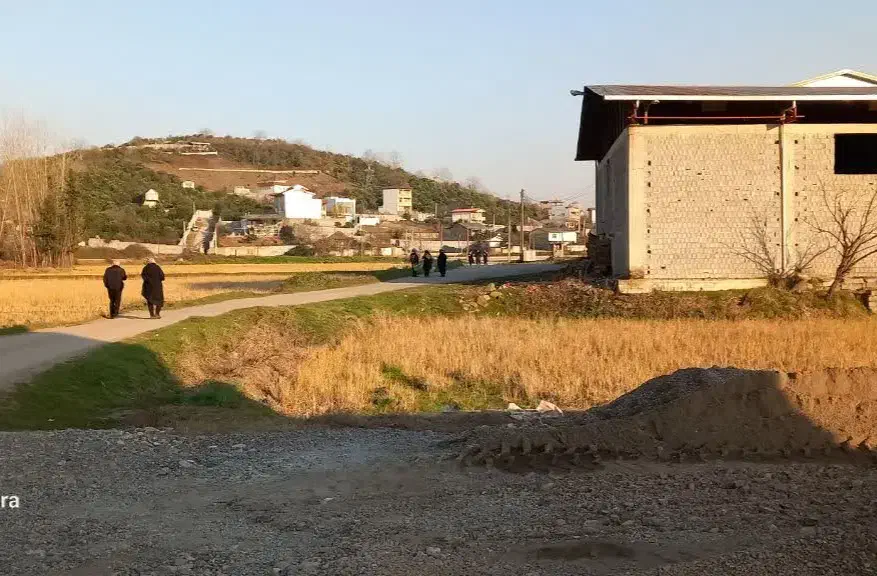 فروش زمین مسکونی در شمال کشور|فروش زمین و ملک کلنگی|مرزیکلا, |دیوار