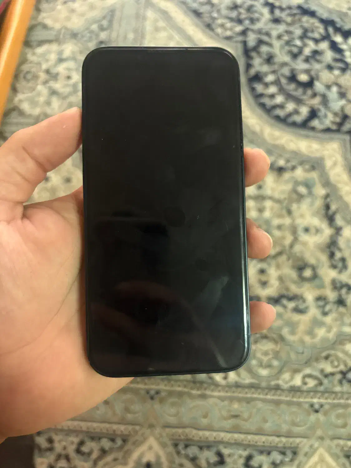 ایفون ۱۳ ch/a|موبایل|رشت, کاکتوس|دیوار