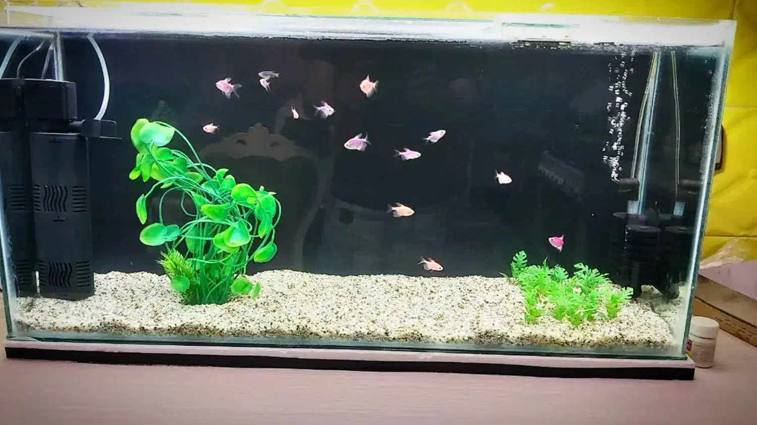 آکواریوم خانگی عرض ۲۸ ارتفاع ۴۵ عرض ۲۸ ارتفاع ۴۵|ماهی|نیشابور, هفده شهریور|دیوار