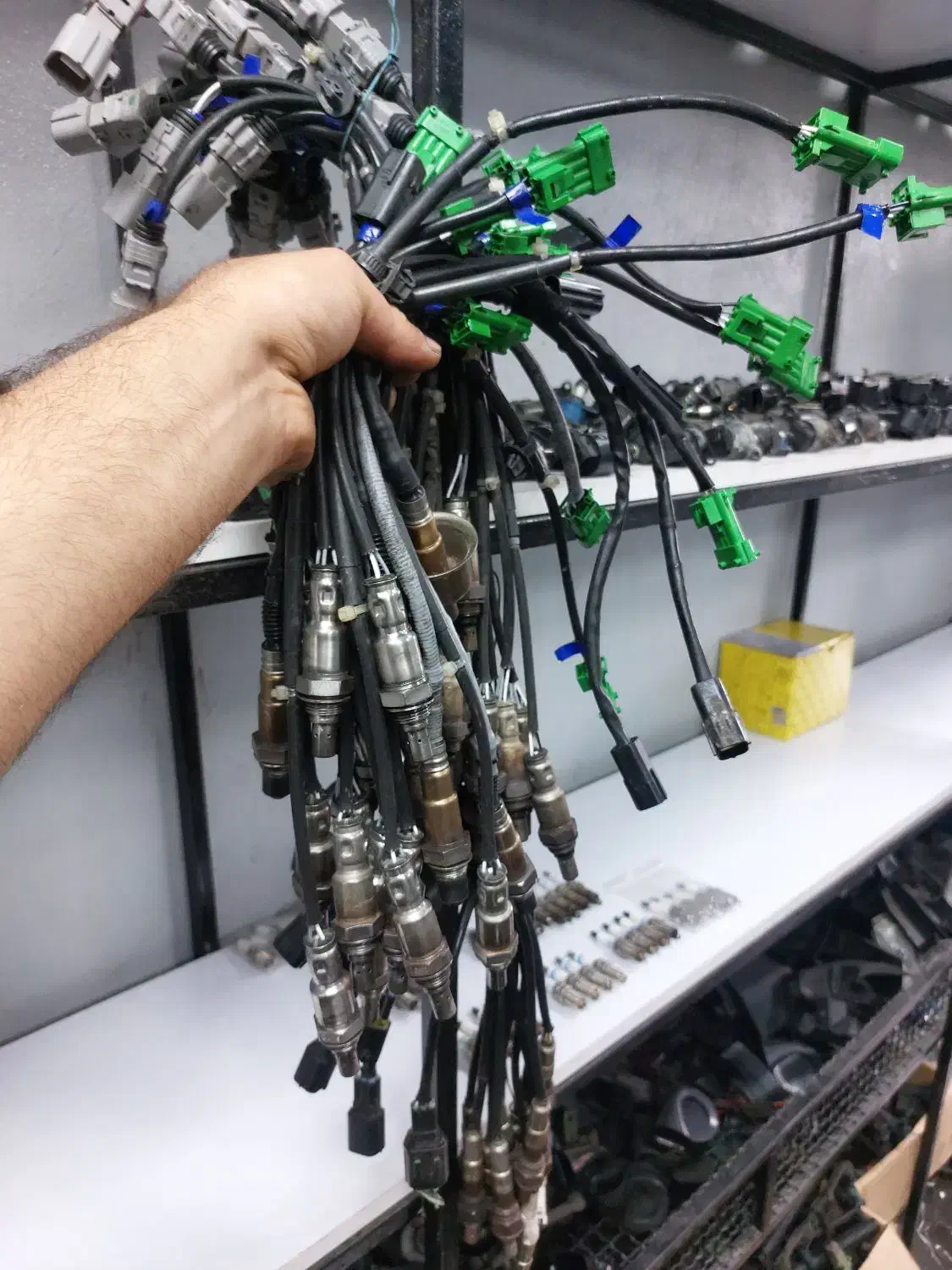 استوک اروپایی دیلمان|قطعات یدکی و لوازم جانبی|رشت, انصاری|دیوار