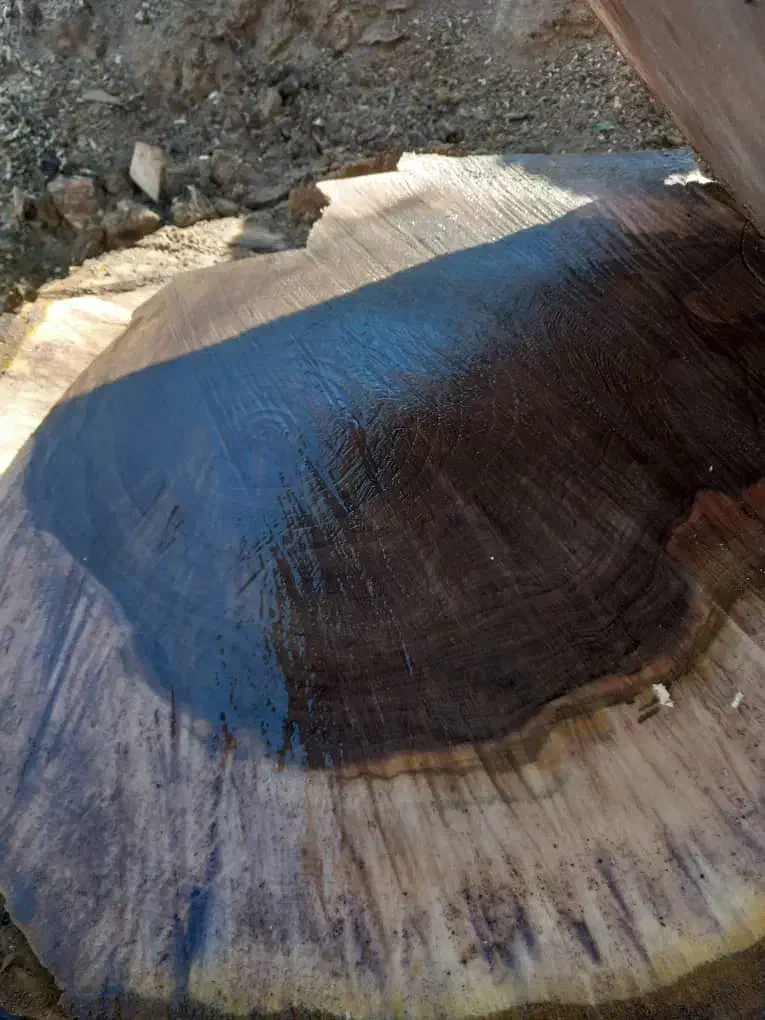 چوب گردو|خدمات باغبانی و درختکاری|سنندج, |دیوار