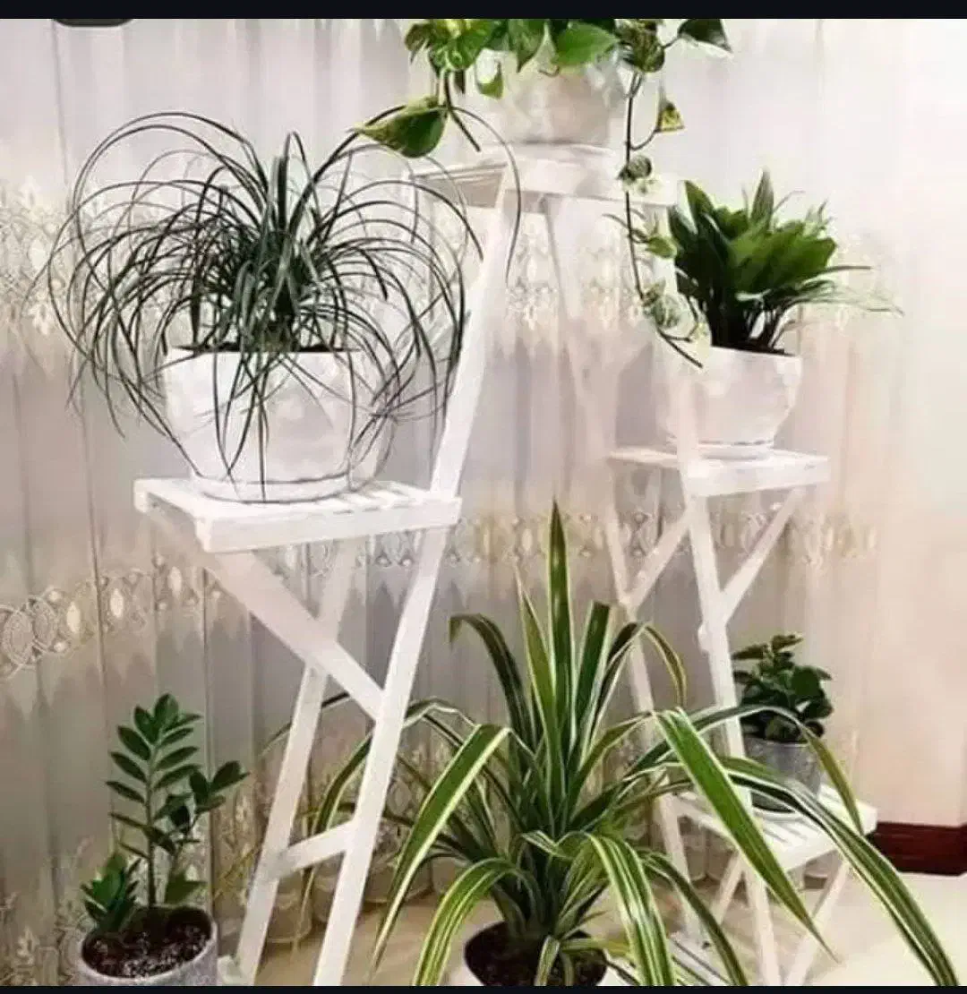 تولید و پخش جاگلدانی و استند|گل و گیاه طبیعی|دلیجان, |دیوار