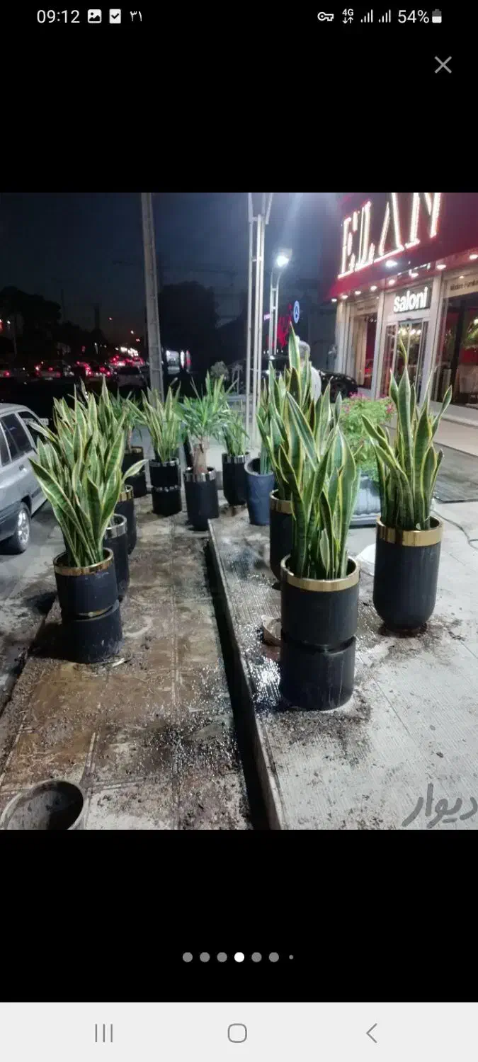 اجرای فضای سبز|خدمات باغبانی و درختکاری|کرج, کیانمهر|دیوار