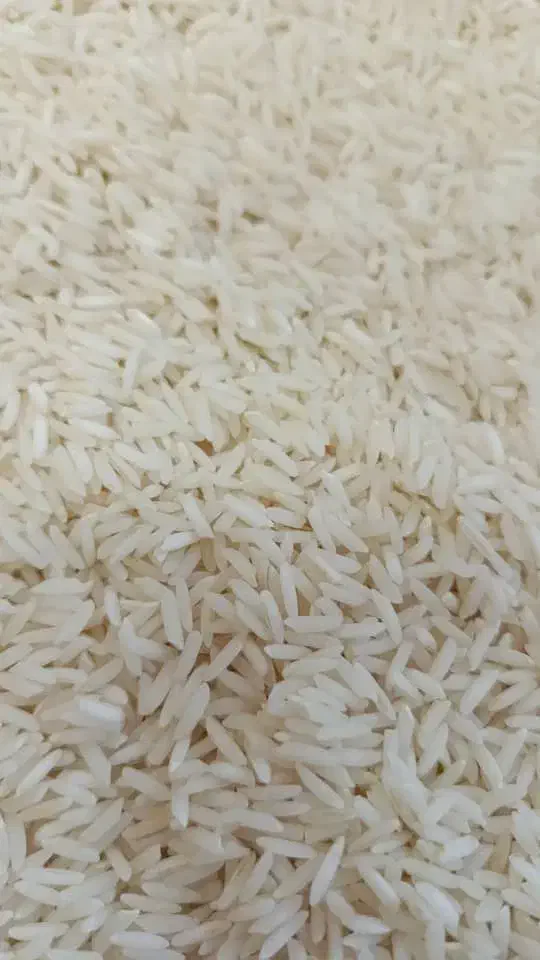 برنج هاشمی درجه یک|خوردنی و آشامیدنی|رشت, کاکتوس|دیوار