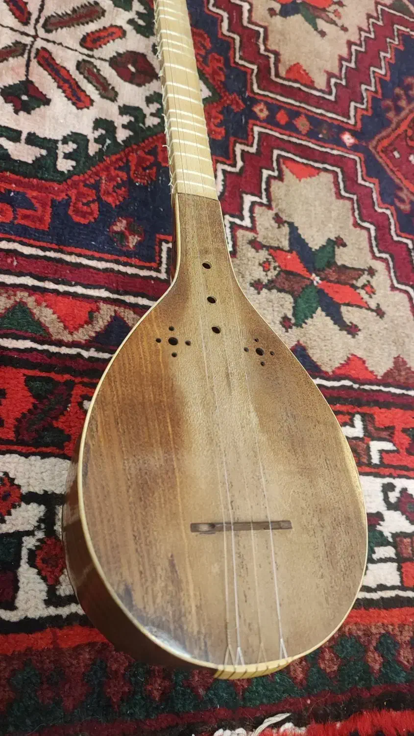 سه تار حرفه ای آقای داوود حسنی|سازهای سنتی|تبریز, |دیوار