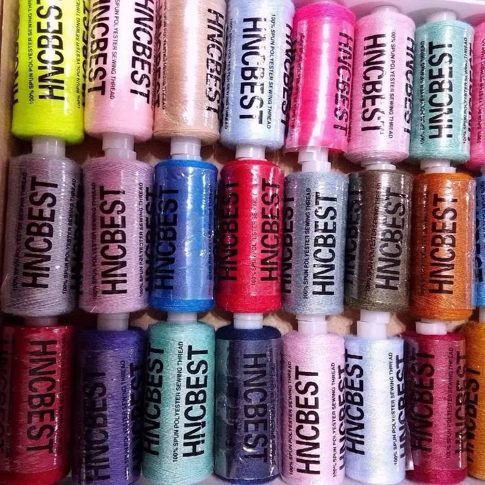 کبوتر|پرنده|سرپل ذهاب, |دیوار