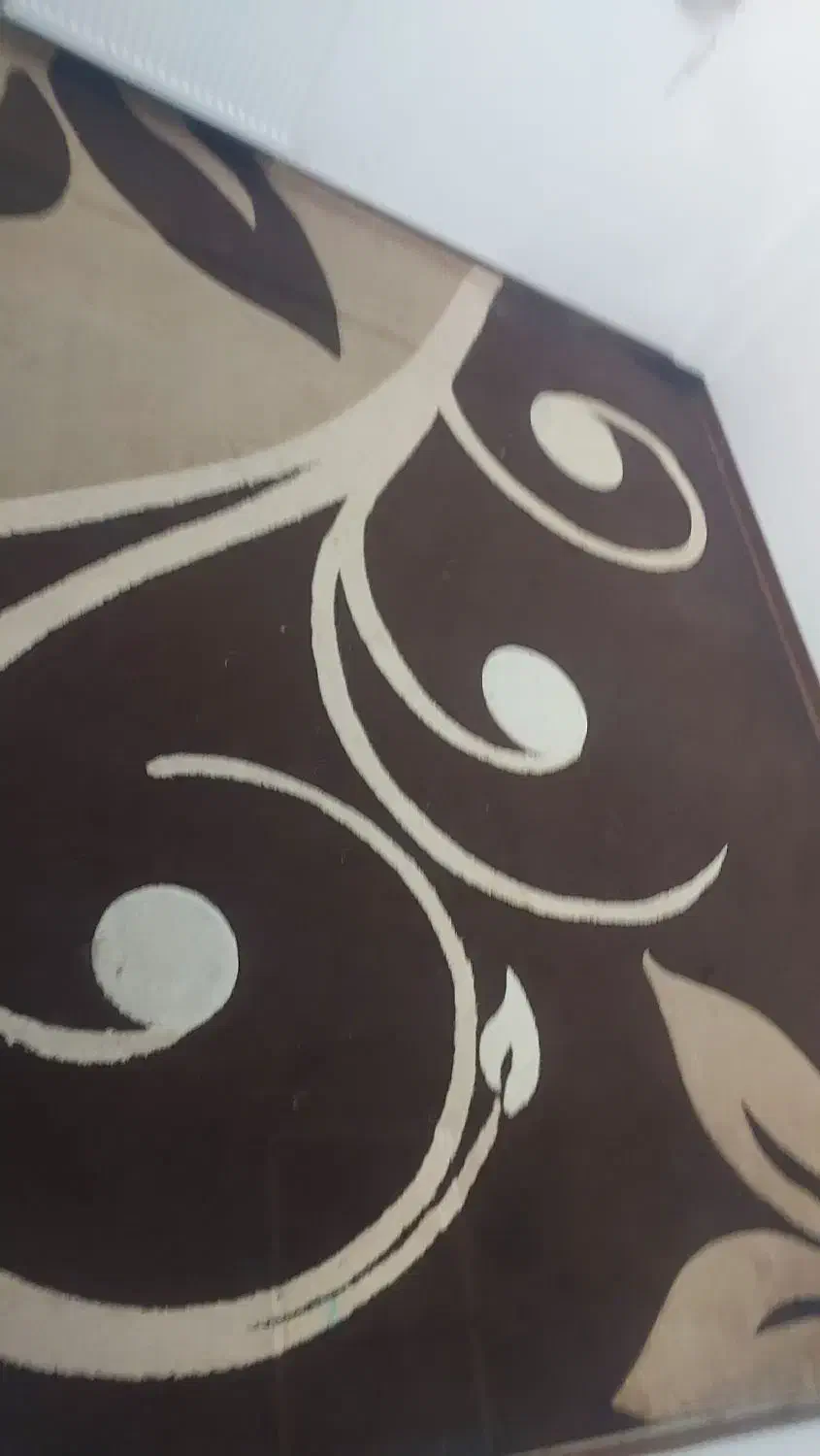۱قالی و ۲گلیم فرش دست دوم در حد نو|فرش|شیراز, آزادگان|دیوار