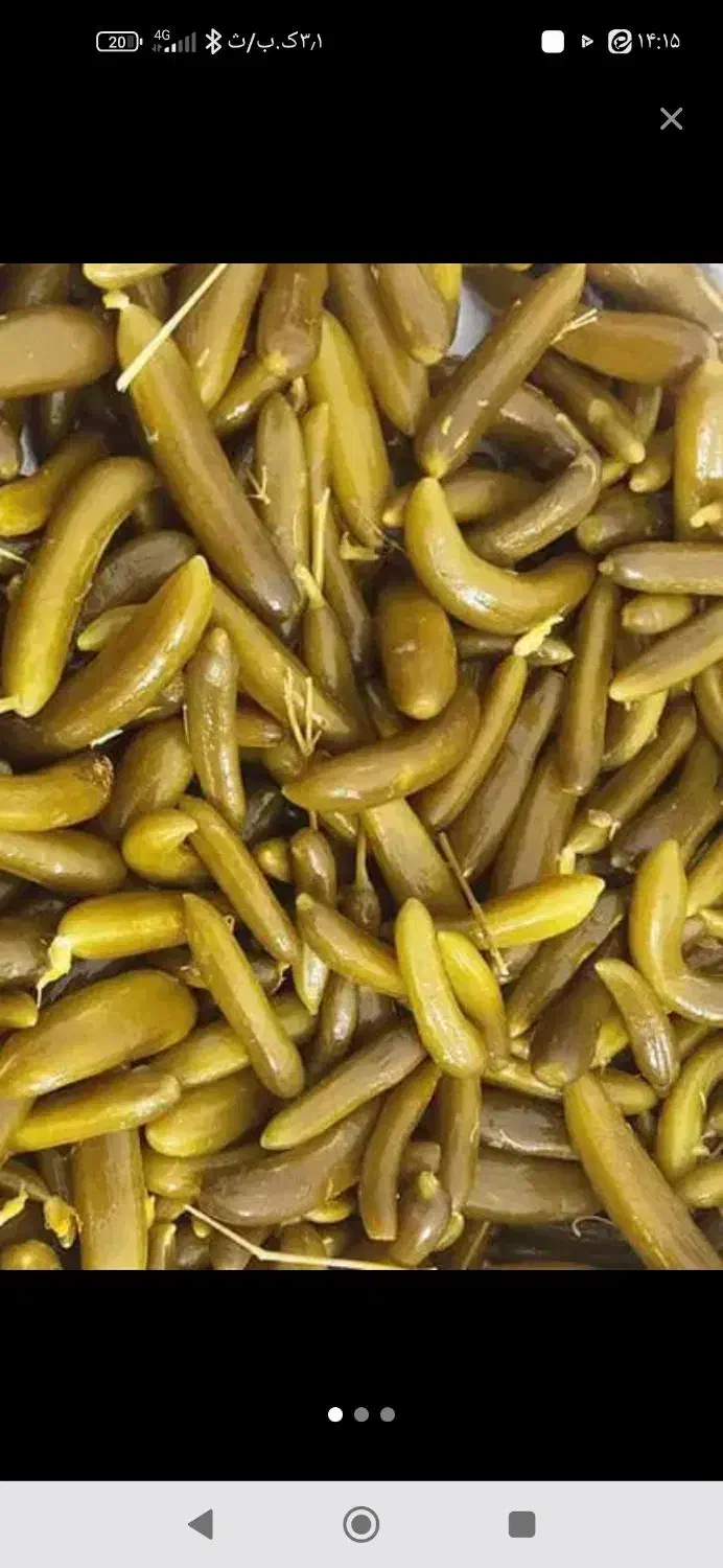 خیارشور|خوردنی و آشامیدنی|گل تپه, |دیوار