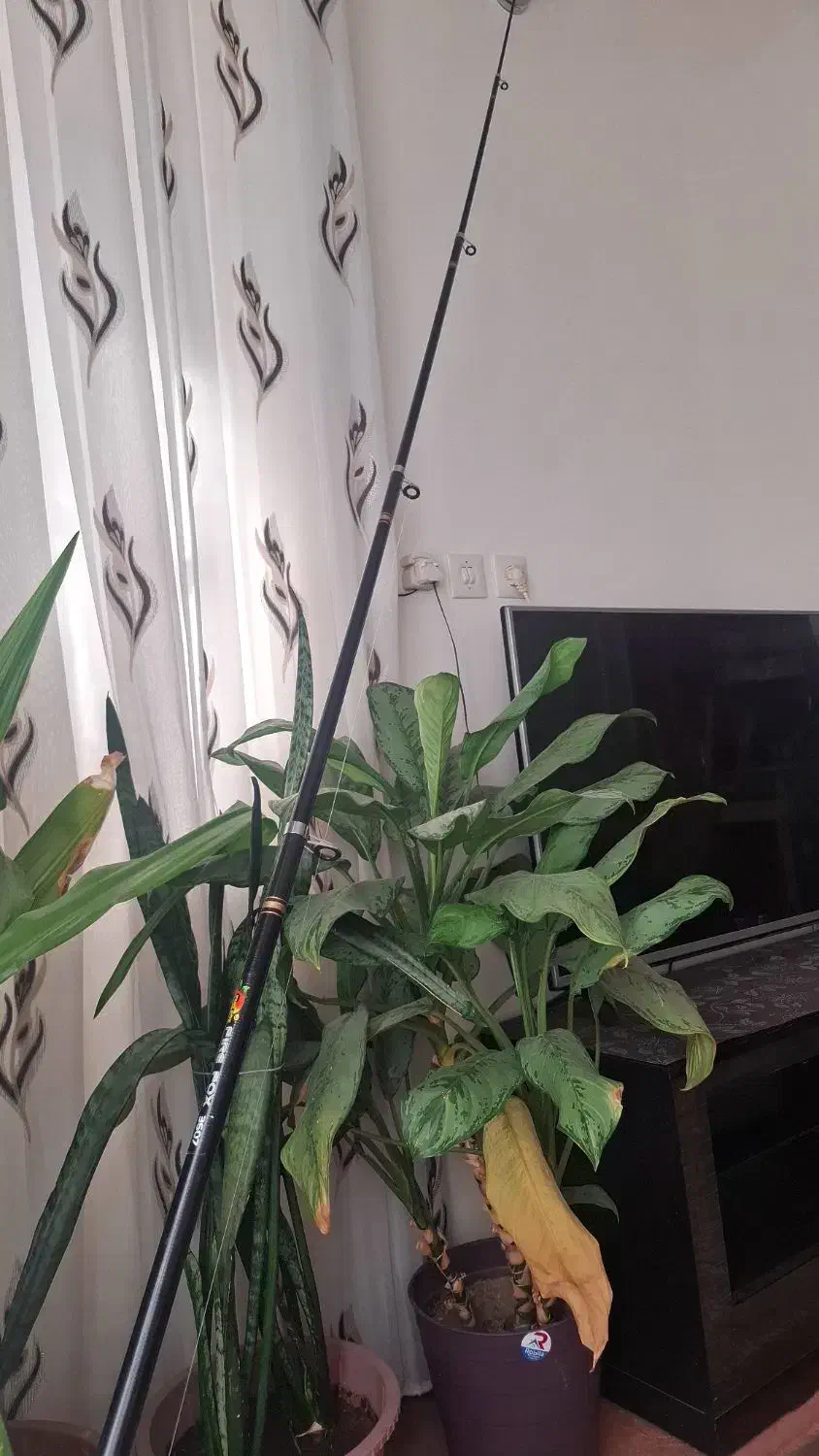 چوب وچرخ ماهیگیری|ماهیگیری|فولادشهر, B2|دیوار