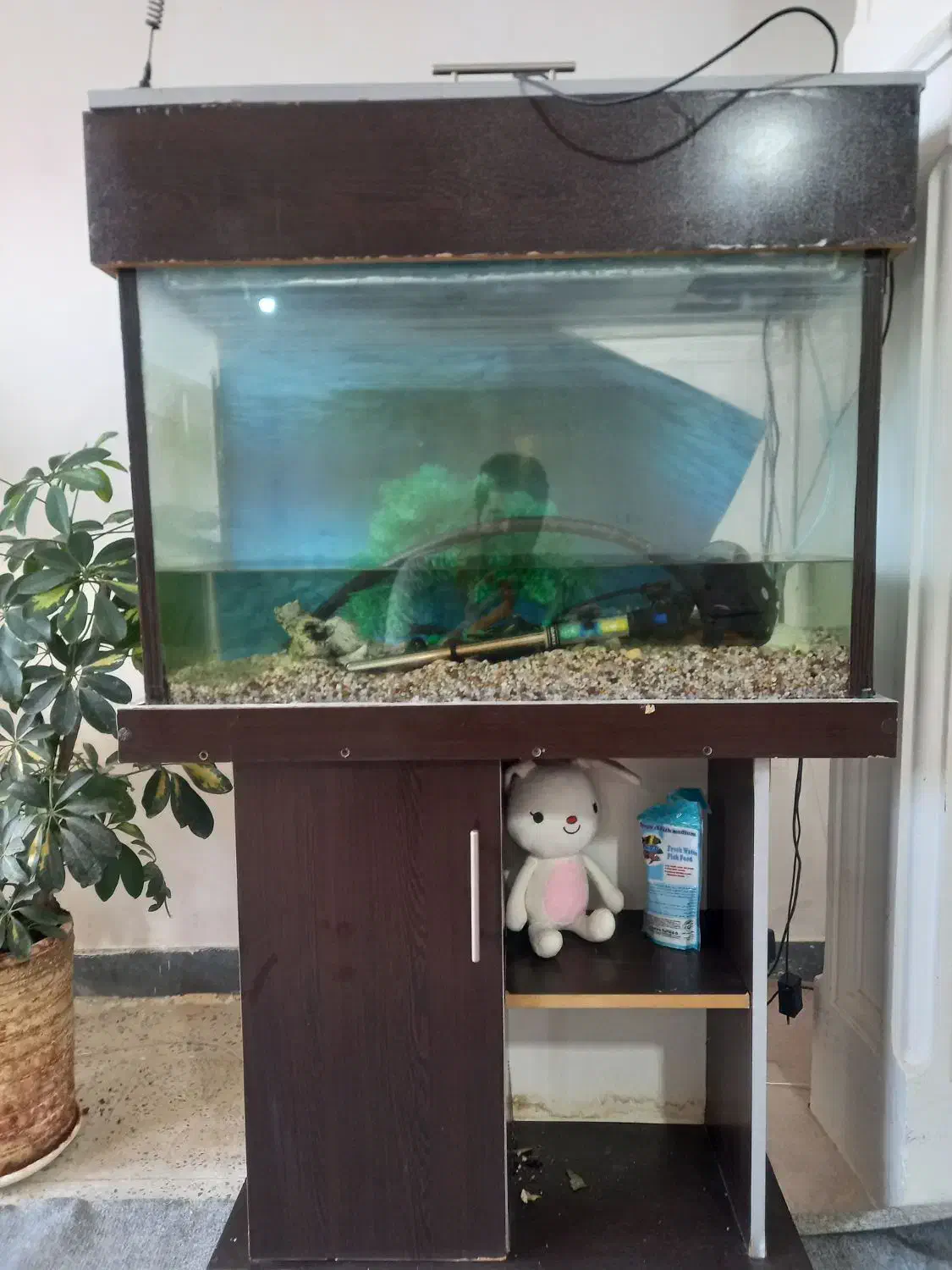 فروش اکواریوم با تمام وسایل کامل فقط ۴تومان|ماهی|ایلام, |دیوار