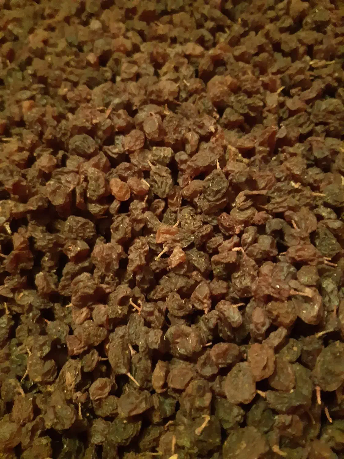 کشمش|خوردنی و آشامیدنی|باغستان, |دیوار