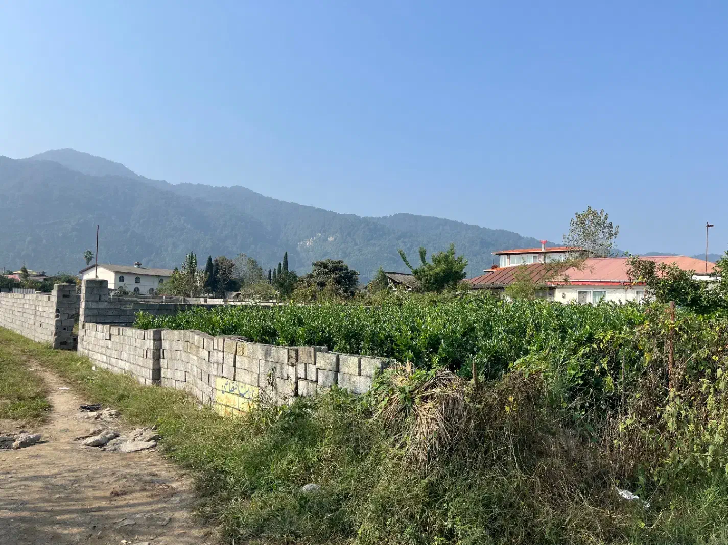 309 متر زمین فروش قاسم اباد سفلی چابکسر|فروش زمین و ملک کلنگی|چابکسر, |دیوار