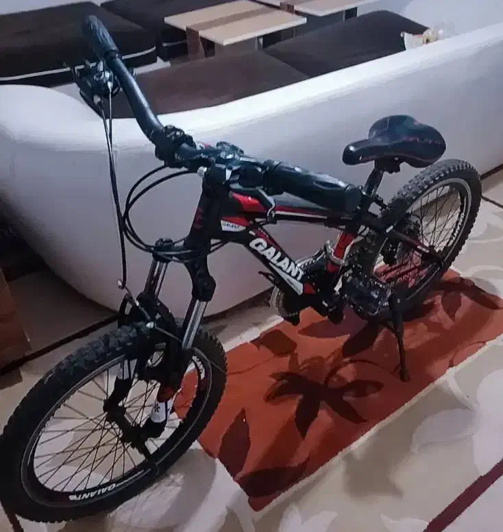 دوچرخه گالانت سایز۲۰|دوچرخه، اسکیت، اسکوتر|گنبد کاووس, |دیوار