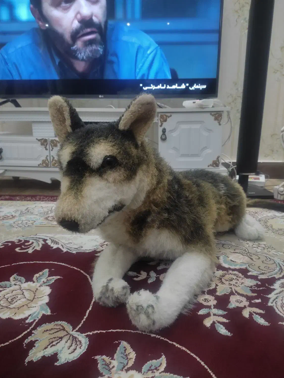 دکوری زیبا|مجسمه، تندیس، ماکت|قیدار, |دیوار