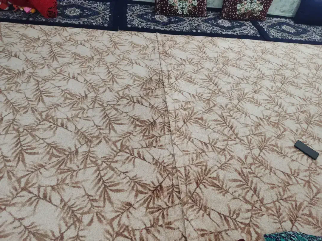 فرش پولای موکت|فرش|چغادک, |دیوار