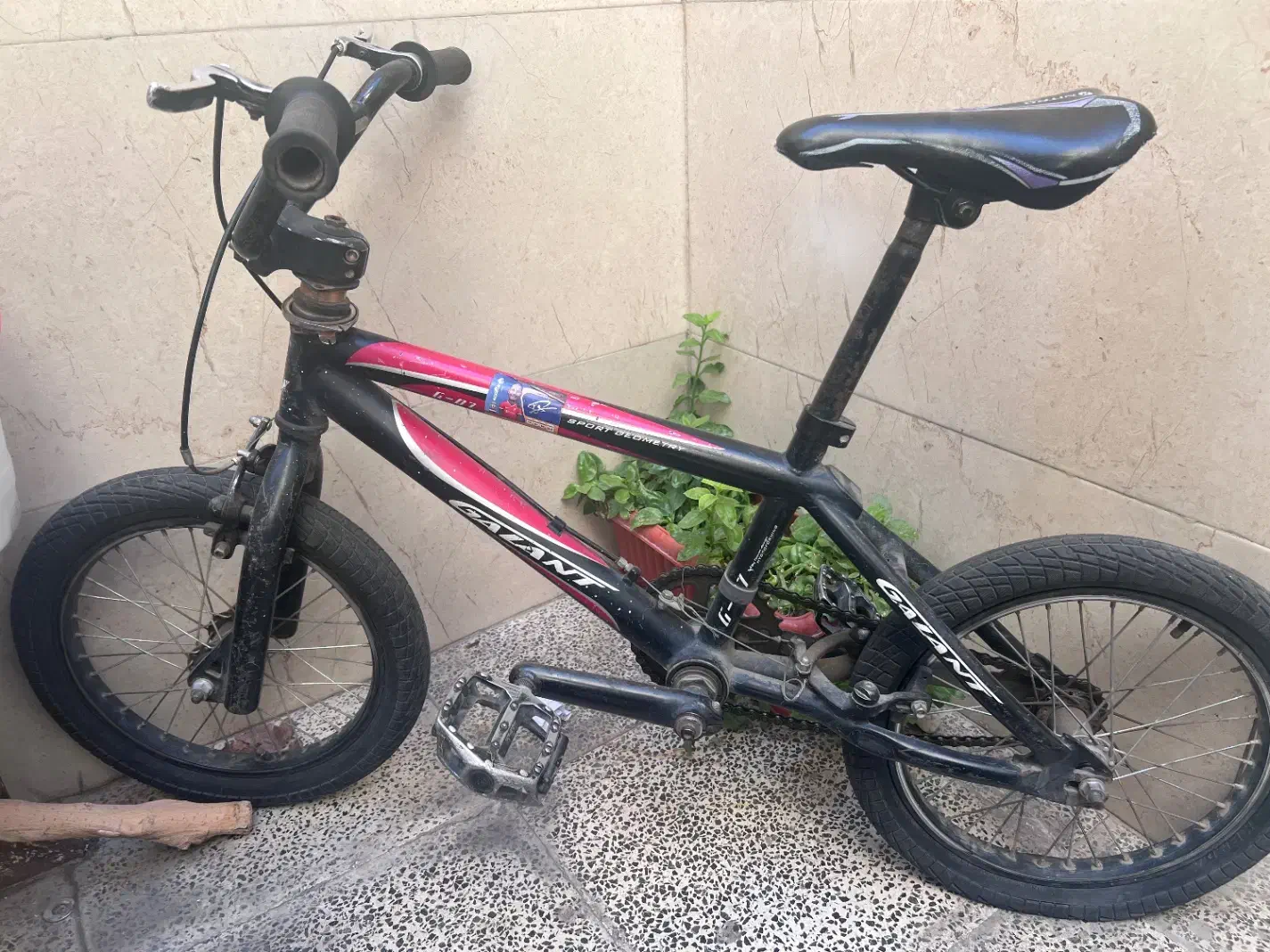 دوچرخه سایر ۲۰|دوچرخه، اسکیت، اسکوتر|قدس, شهرقدس|دیوار