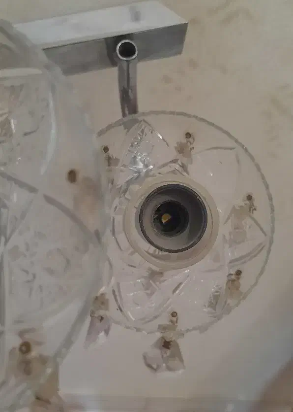 لوستر دیواری|لوستر و چراغ آویز|اصفهان, جلفا|دیوار