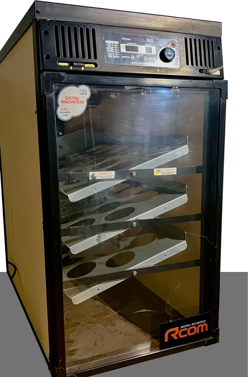 دستگاه جوجه کشی آرکام کره|لوازم جانبی حیوانات|قم, الغدیر|دیوار