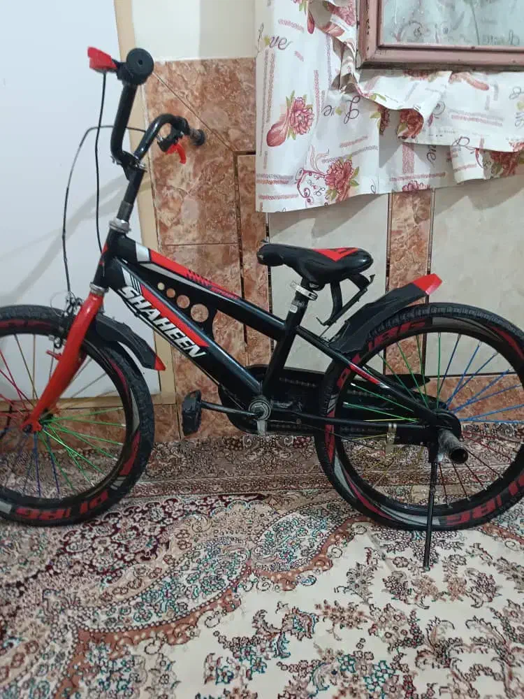 دوچرخه تمیز سالم فقط فقط یک تیوب میخواد|دوچرخه، اسکیت، اسکوتر|پشتکوه (سیستان و بلوچستان), |دیوار