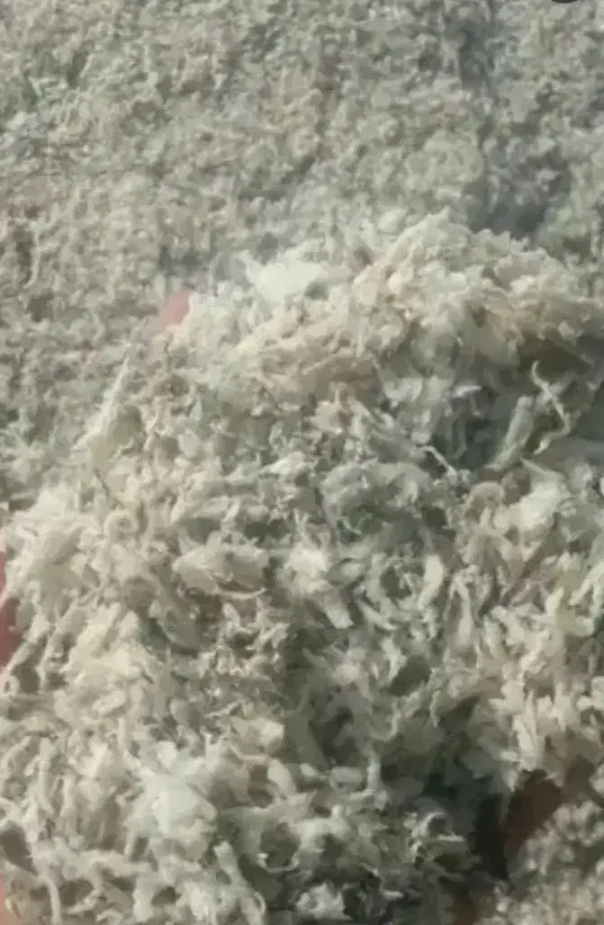 تفاله چغندر تر دونم۸/۷۰۰|عمده‌فروشی|کردکوی, |دیوار