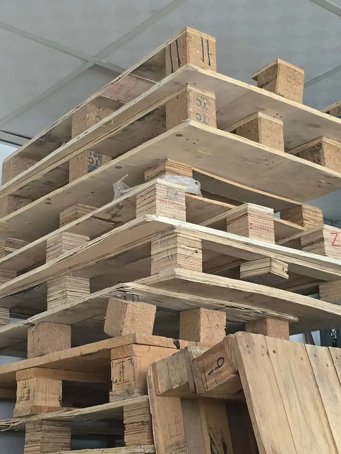 پالت چوبی|فعالیت داوطلبانه تحقیقاتی|گرگان, |دیوار