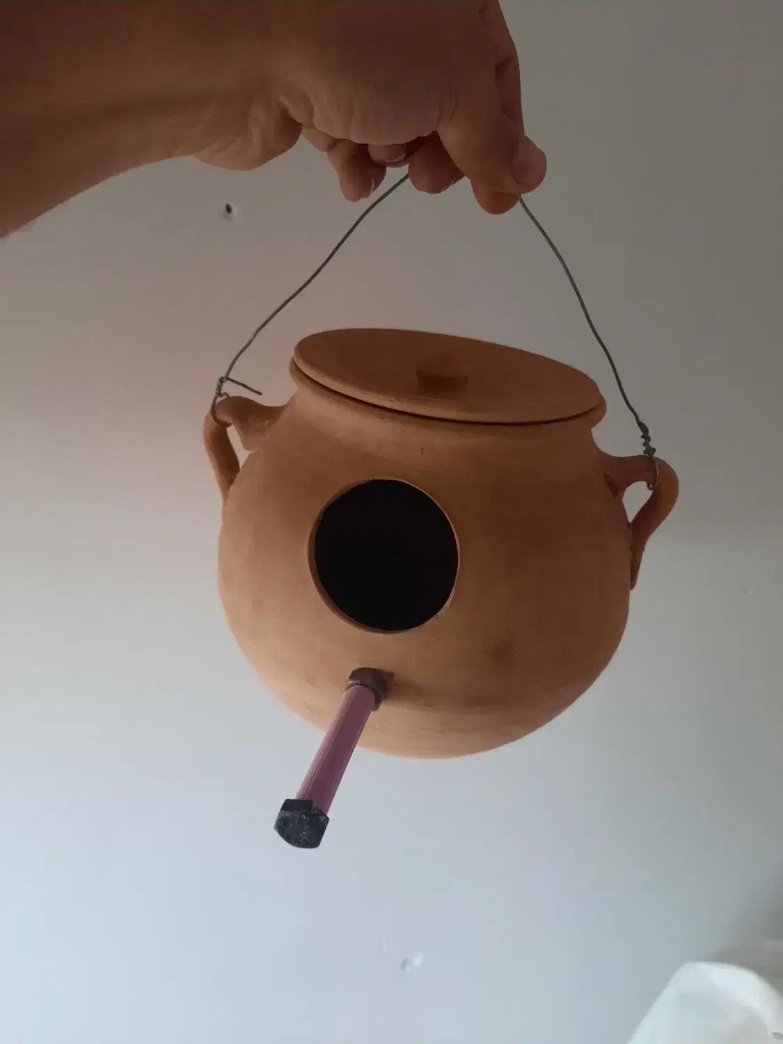 مرغ عشق ،قفس،لانه،کوزه|پرنده|شاهرود, |دیوار