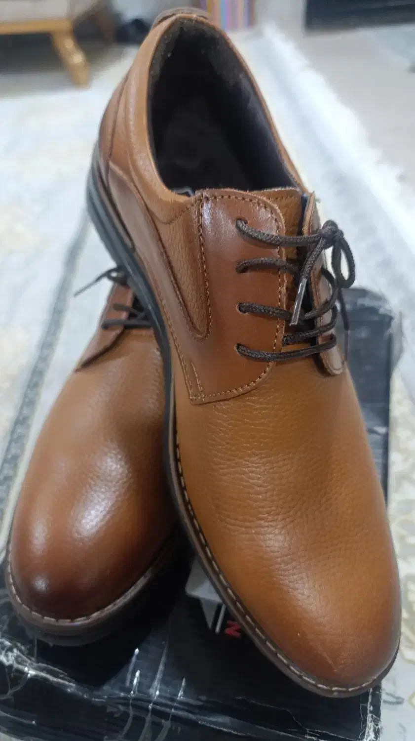 کفش مجلسی|کیف، کفش، کمربند|بهبهان, |دیوار