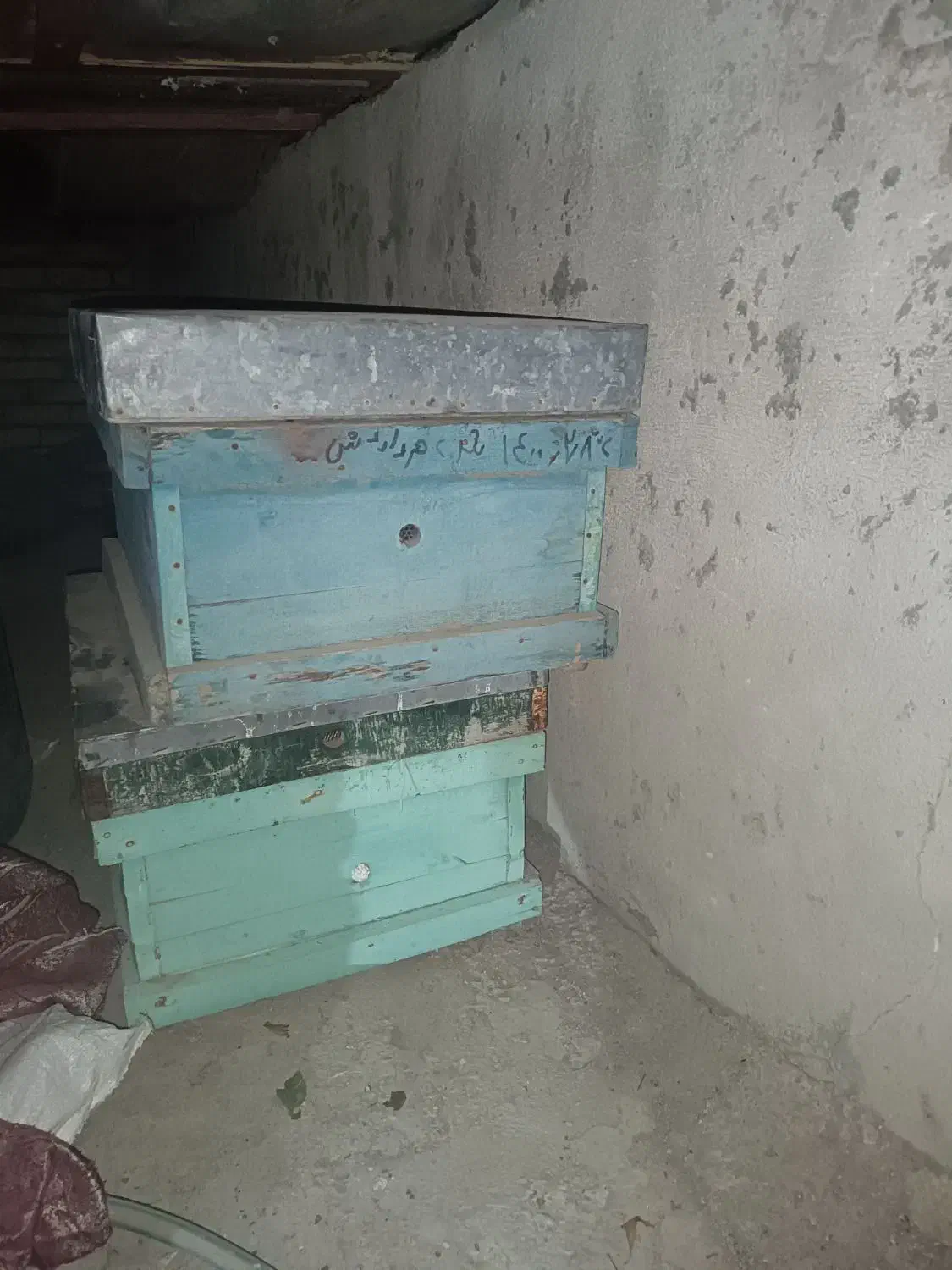 کلنی|حیوانات مزرعه|قیدار, |دیوار