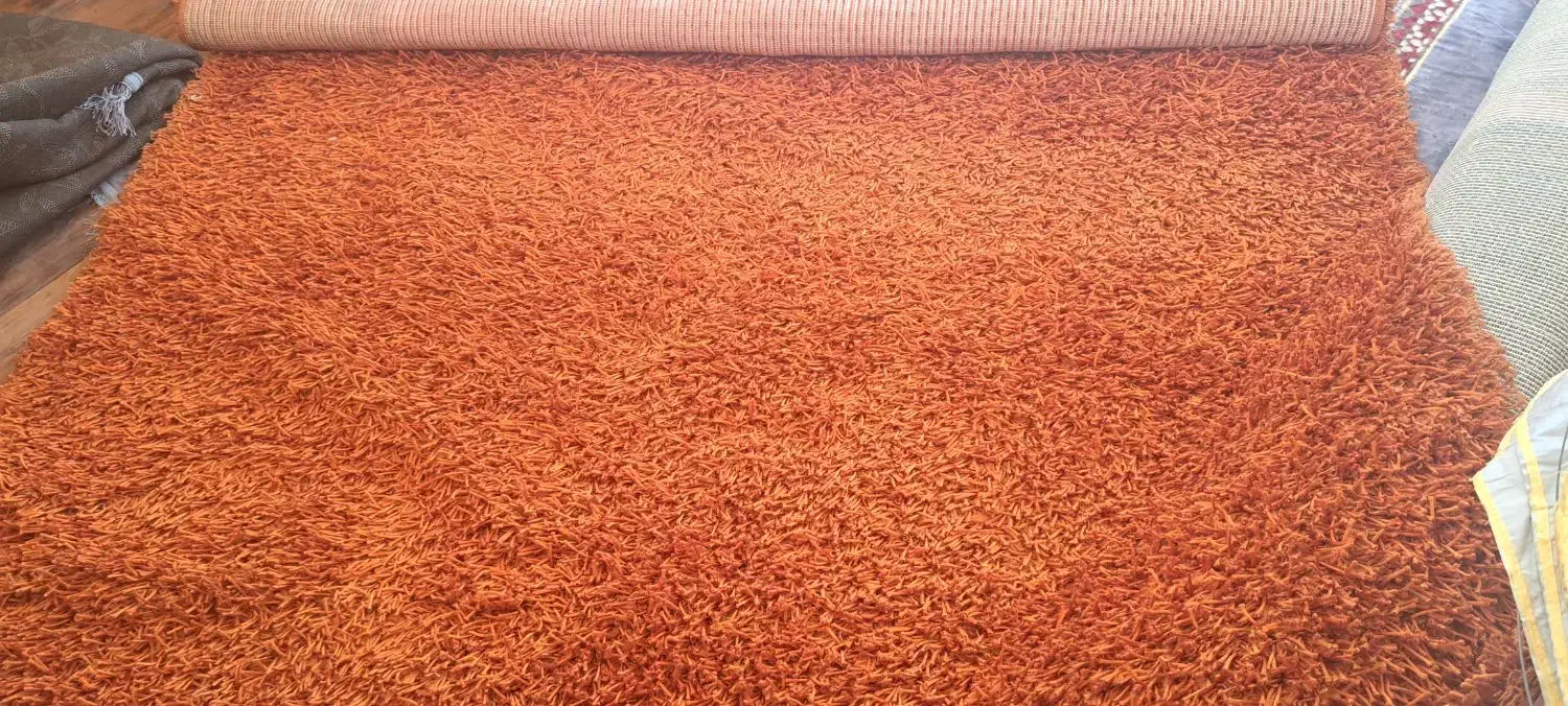 فرش پرز بلند شگی در حد نو|فرش|کوهسار (البرز), |دیوار