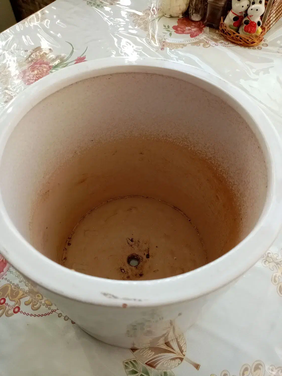 گلدان فرفوژه. سرامیکی سطل|صنایع دستی و سایر لوازم تزئینی|الوند, |دیوار