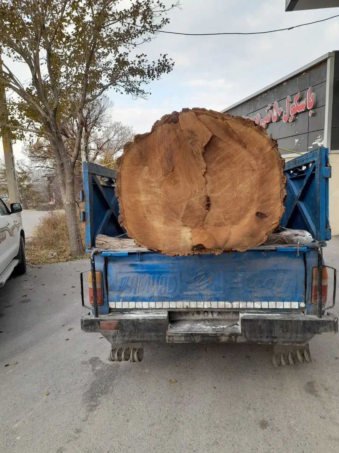 خرید چوب|خدمات باغبانی و درختکاری|مراغه, |دیوار