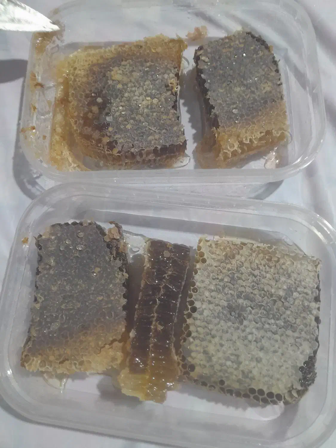 عسل طبیعی اویش وگون از دامنه سبلان|خوردنی و آشامیدنی|رشت, امین الضرب|دیوار