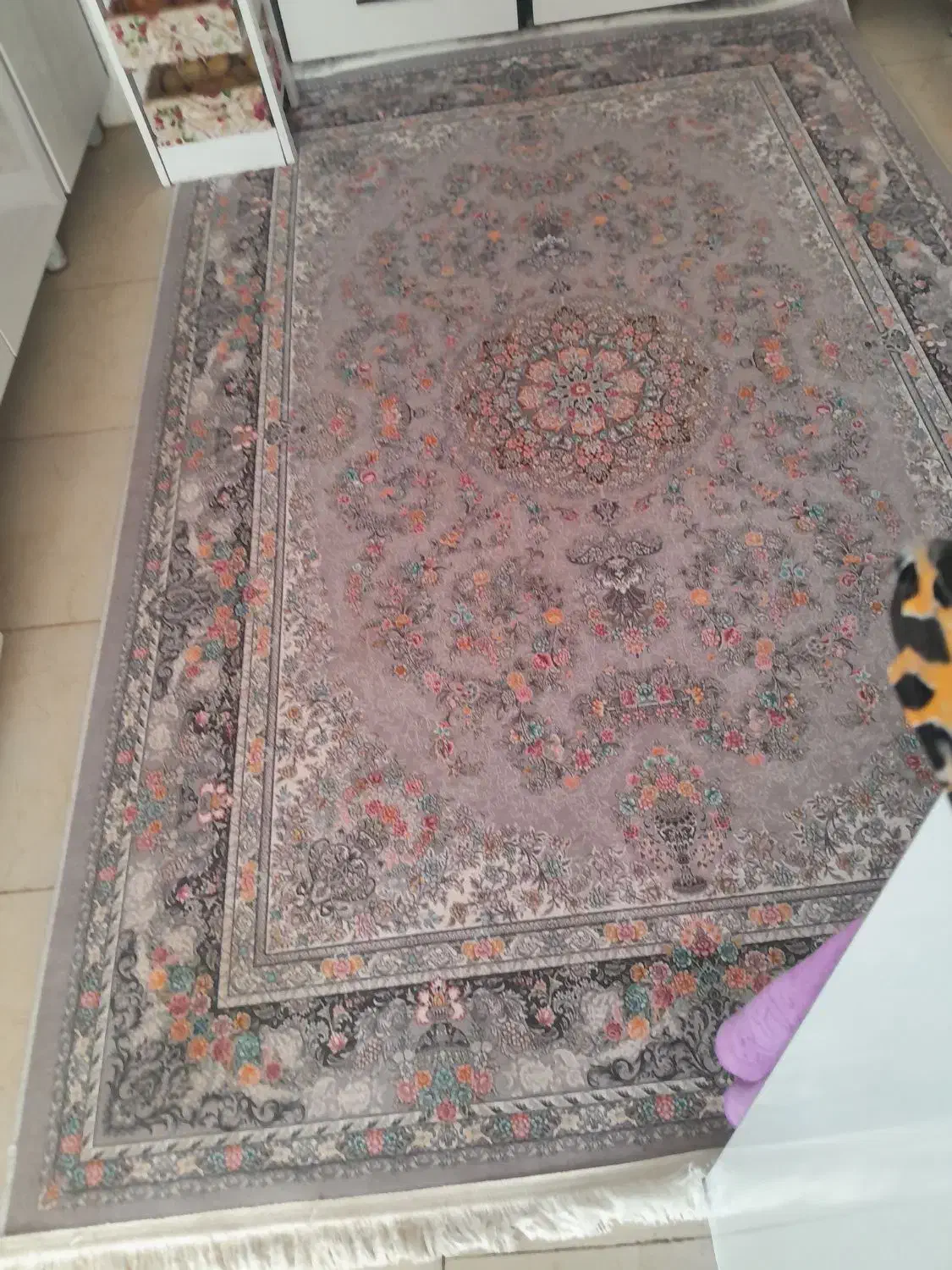 فرش آشپزخانه|فرش|بیرجند, |دیوار