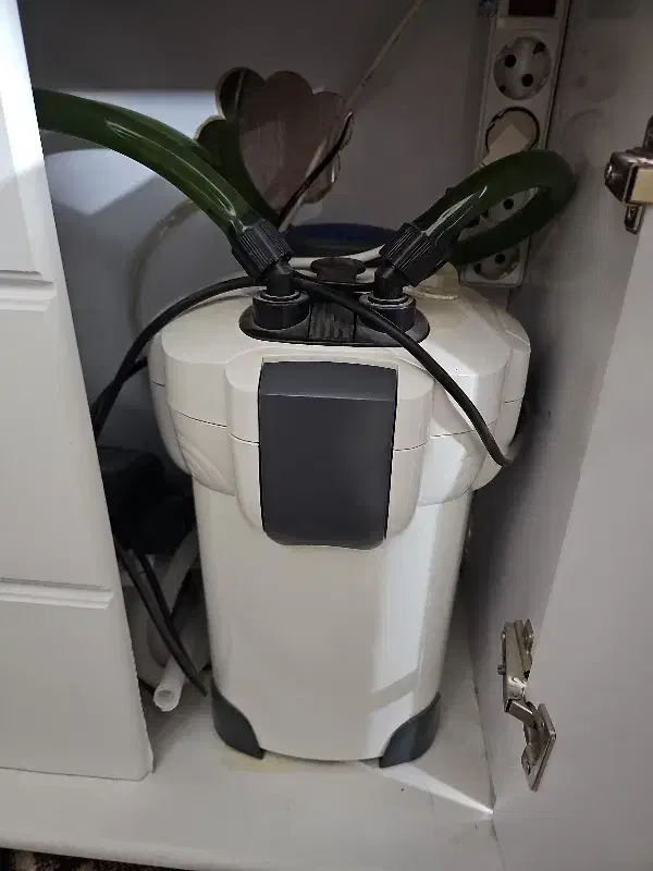 اکواریوم تمیز و سالم با تمامی امکانات درجه یک|ماهی|قم, پردیسان|دیوار