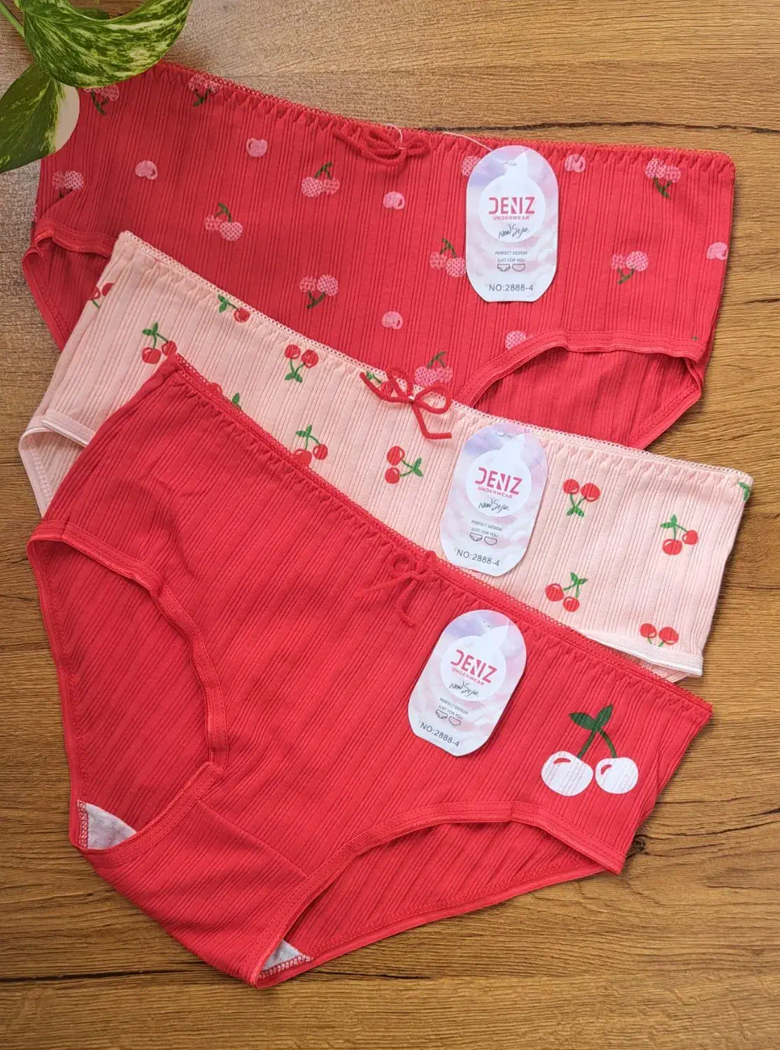 شورت زنانه|لباس|رشت, فلسطین|دیوار