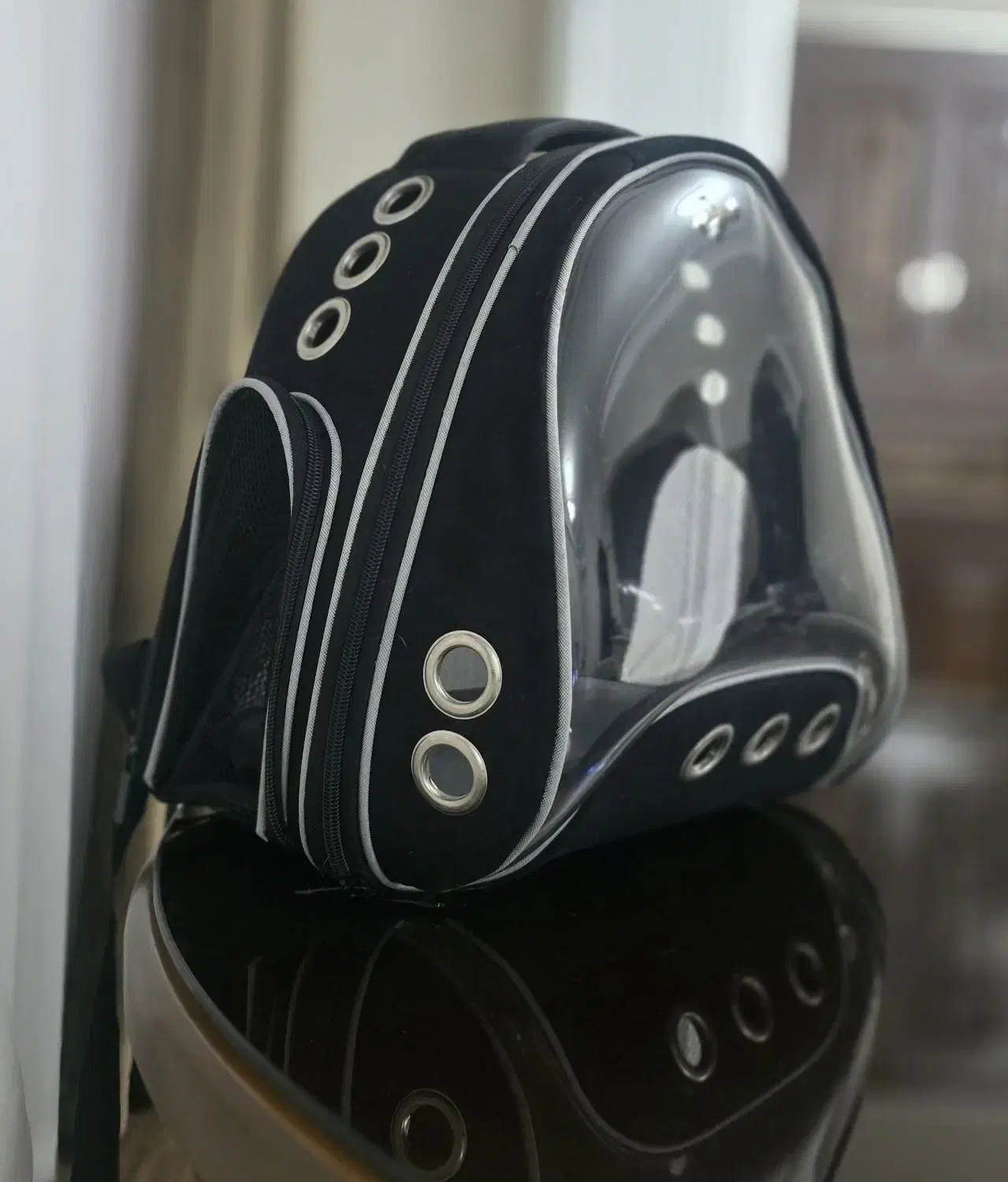 کیف حمل گربه و سگ|لوازم جانبی حیوانات|رشت, منظریه|دیوار