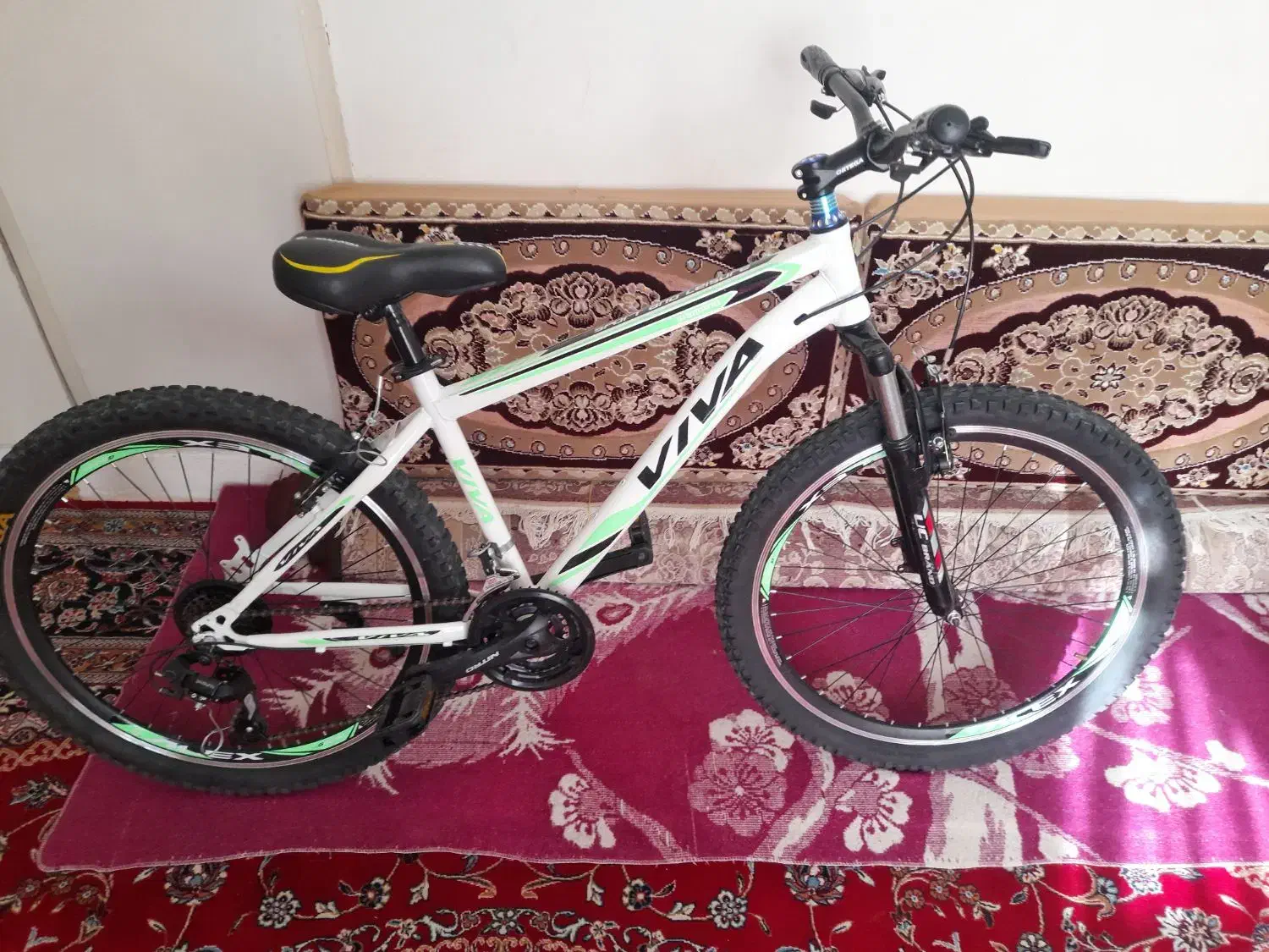 دوچرخه ۲۶ ویوا نو تنه بالا|دوچرخه، اسکیت، اسکوتر|کبودرآهنگ, |دیوار