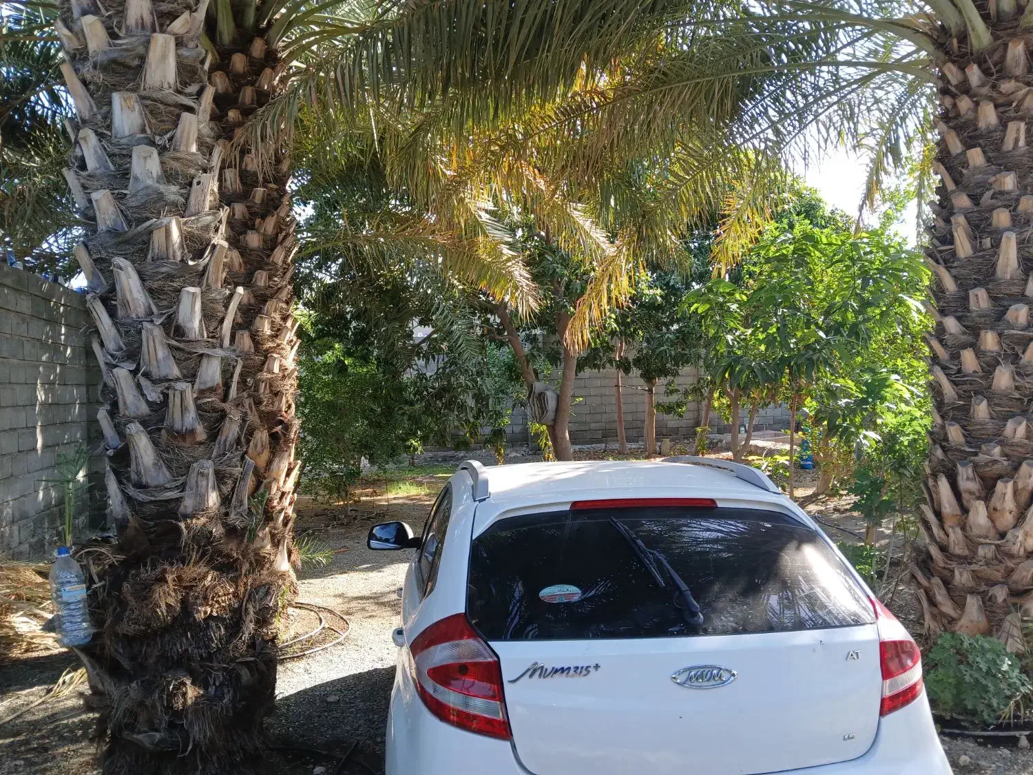 اتومات پلاس هاچ بک mvm315 مدل ۹۹|خودرو سواری و وانت|بندرعباس, |دیوار