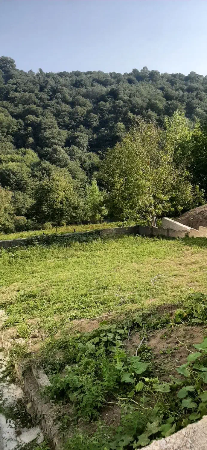 فروش زمین سند دار کاملا بافت مسکونی در سوادکوه|فروش زمین و ملک کلنگی|زیرآب, |دیوار