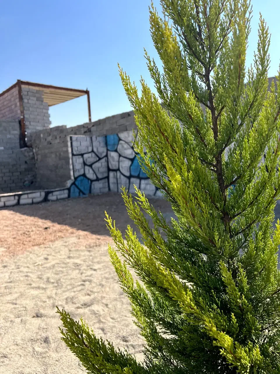 باغچه ۳۰۳متری زیر قیمت|فروش زمین و ملک کلنگی|شهریار, رزکان|دیوار