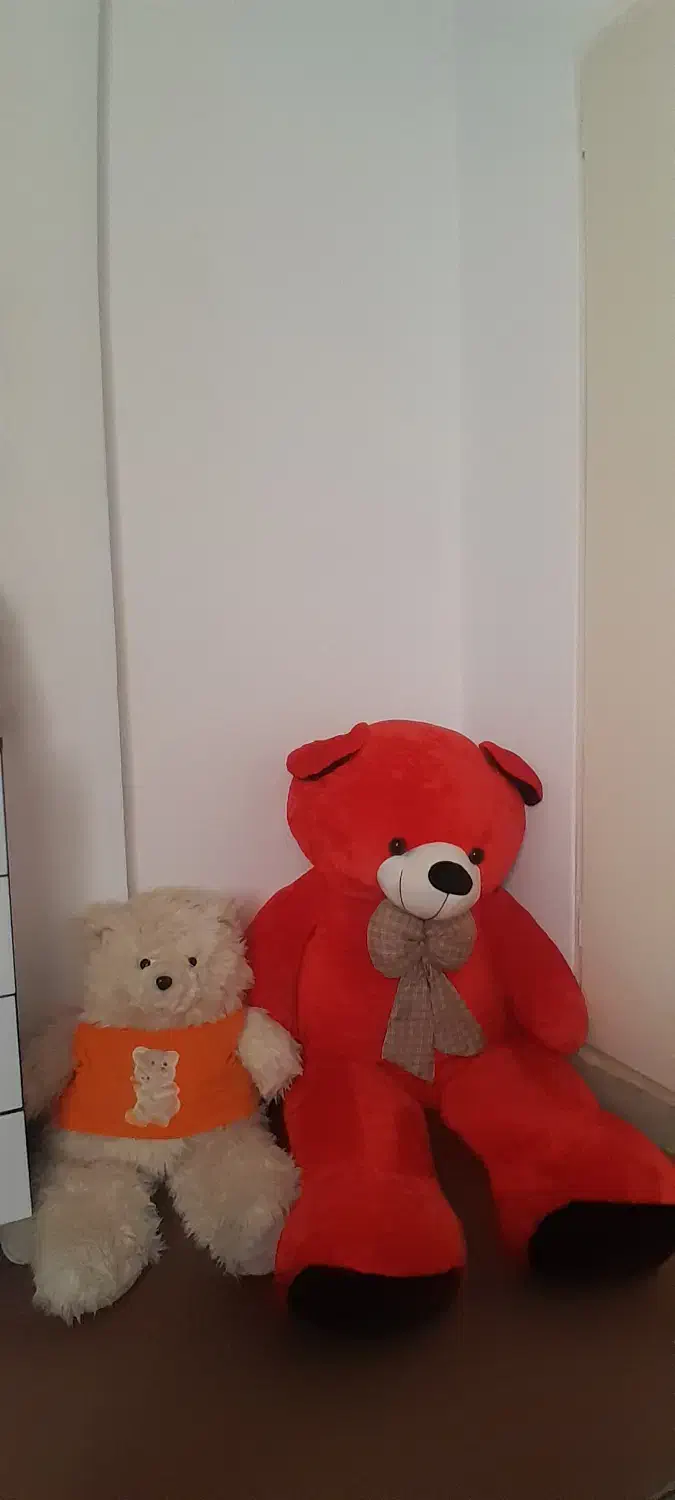 عروسک|اسباببازی|ری, فیروزآبادی|دیوار