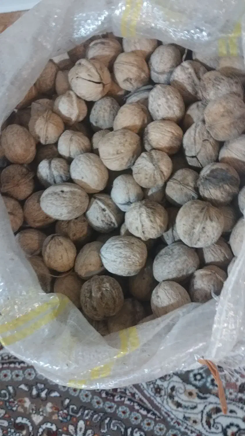 گردو خشک تویسرکان|خوردنی و آشامیدنی|کرج, شهرک بنفشه|دیوار