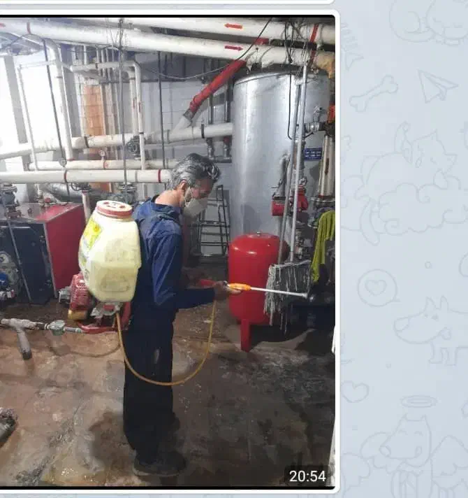 سمپاشی سوسک ساس درتمام نقاط تهران|خدمات نظافت|تهران, پاسداران|دیوار