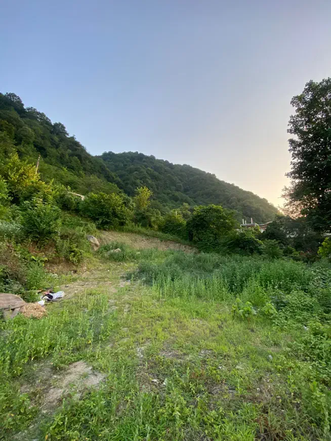 فروش زمین مسکونی لیالستان بالا کوچه امام رضا|فروش زمین و ملک کلنگی|لاهیجان, لیالستان|دیوار