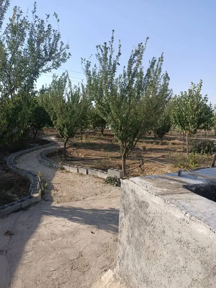 فروش باغ پر میوه|فروش خانه و ویلا|الیگودرز, |دیوار