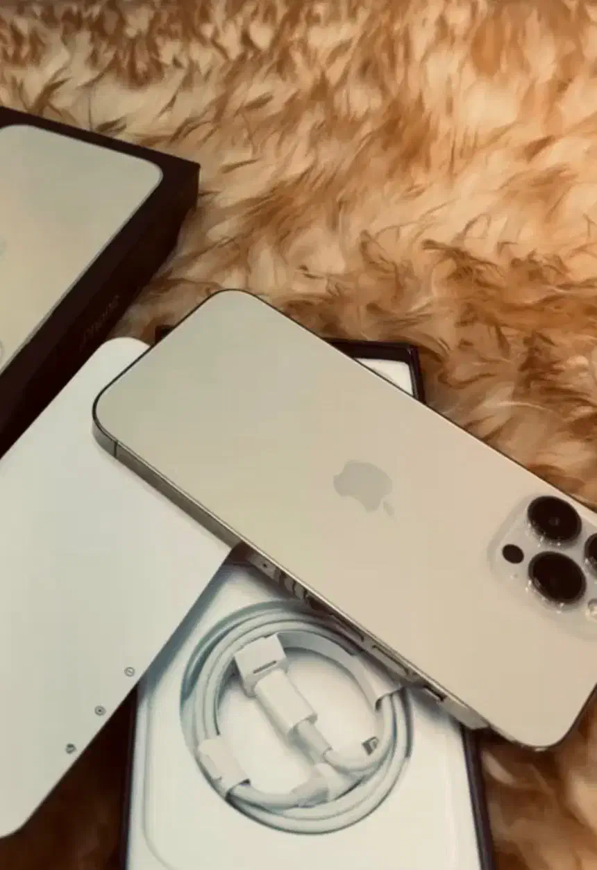 ایفون۱۴ پرومکس پک اصلی رنگ طلایی درحد|موبایل|زابل, |دیوار